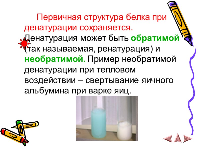 Первичная структура белка при денатурации сохраняется. Денатурация может быть обратимой (так называемая, ренатурация) и